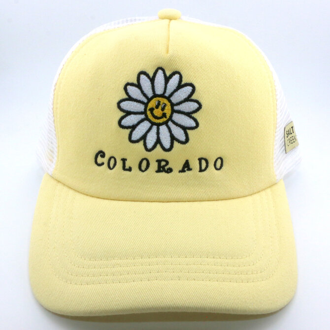 SALT CREEK INC CAP-DAISY CO LEMONADE