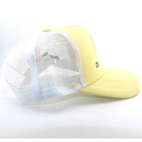 SALT CREEK INC CAP-Daisy Colorado Lemonade