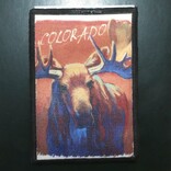 Lantern Press *Patch - Colorado Moose
