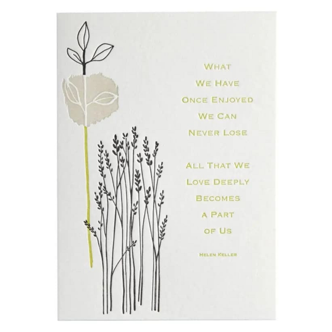 NIQUEA.D BY AVANTI Card - Helen Keller Quote Sympathy