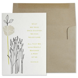 NIQUEA.D BY AVANTI Card - Helen Keller Quote Sympathy