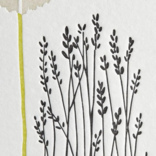 NIQUEA.D BY AVANTI Card - Helen Keller Quote Sympathy