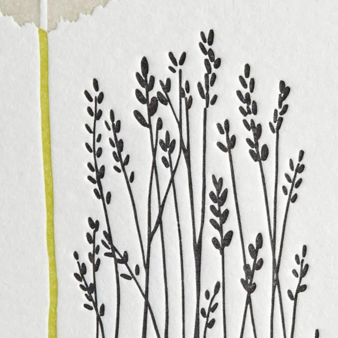 NIQUEA.D BY AVANTI Card - Helen Keller Quote Sympathy