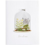 NIQUEA.D BY AVANTI Card - Plants in Cloche