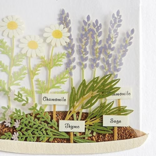 NIQUEA.D BY AVANTI Card - Plants in Cloche