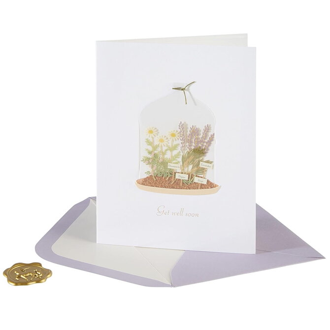 NIQUEA.D BY AVANTI Card - Plants in Cloche