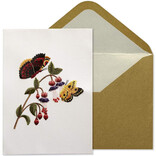NIQUEA.D BY AVANTI Card - Butterflies Embroidered Blank