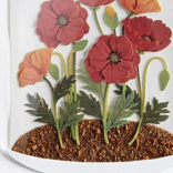 NIQUEA.D BY AVANTI Card - Thank You Flowers in Cloche