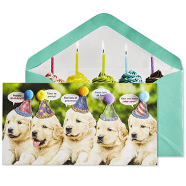 NIQUEA.D BY AVANTI Card - Row of Puppies