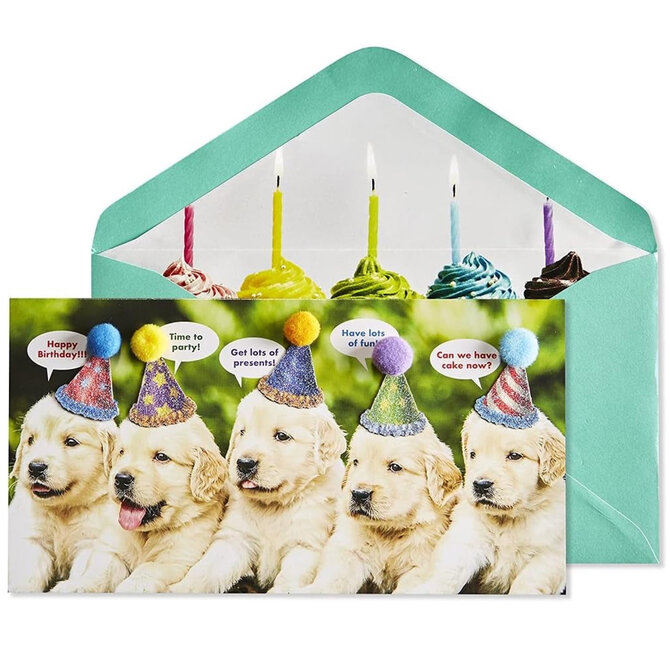 NIQUEA.D BY AVANTI Card - Row of Poppies