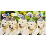 NIQUEA.D BY AVANTI Card - Row of Poppies