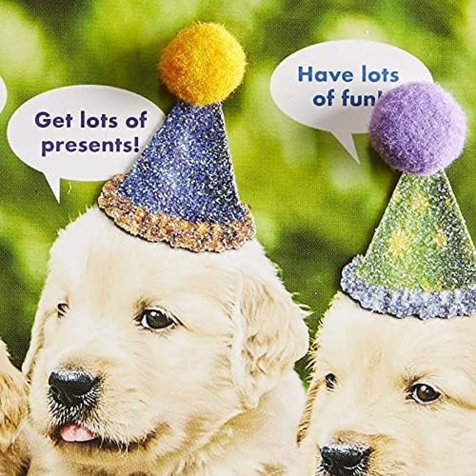 NIQUEA.D BY AVANTI Card - Row of Poppies