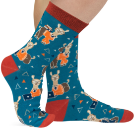 LAVLEY SOCKS-NERDY LLAMA