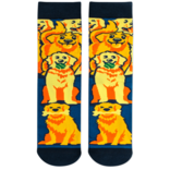 LAVLEY SOCKSM-LIFE IS GOLDEN