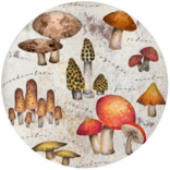 ANDREAS Jar Opener - Mystical Mushrooms Silicone