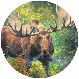 ANDREAS Jar Opener - Wide Load/Moose Silicone