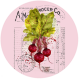 ANDREAS *JAR OPNR-RADISHES SILICONE