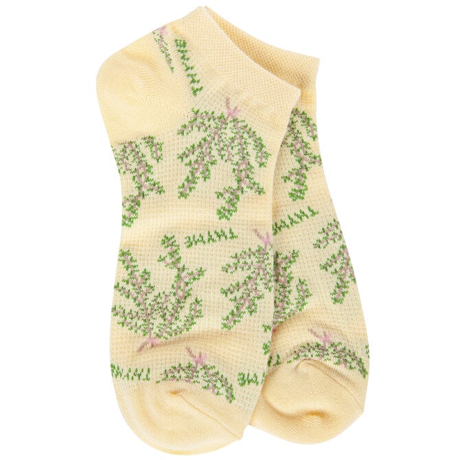 Crescent Sock Company SOCKS-THYME
