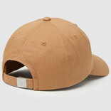 Tentree Cap - Slogan Peak