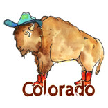 HOLLY SAGE ART STKR-BISON IN BOOTS CO