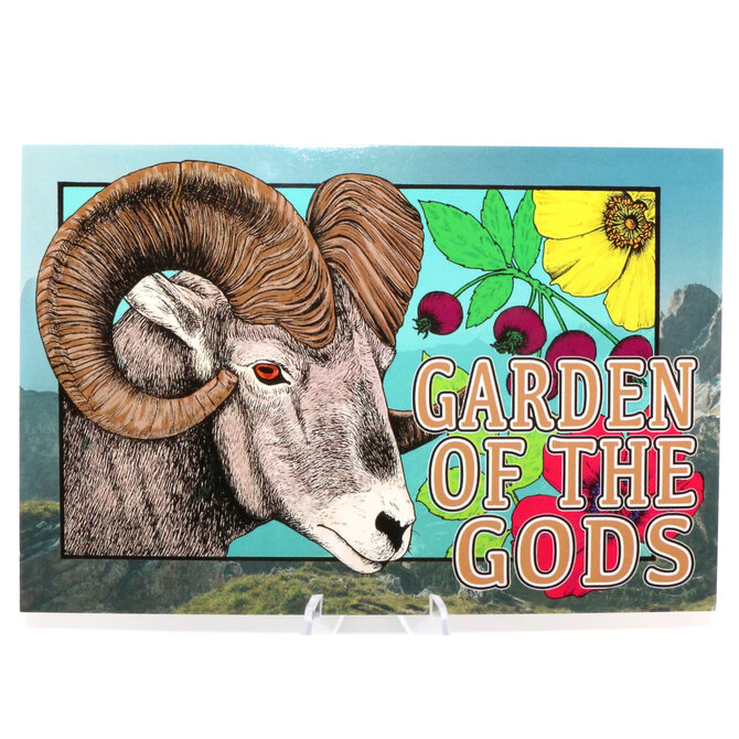 GRASSHOPPERS MERMAID PCARD-BIG HORN SHEEP GOG 4X6