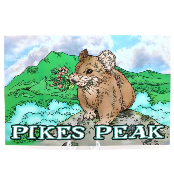 GRASSHOPPERS MERMAID PCARD-PIKAS SNACK PP 4X6