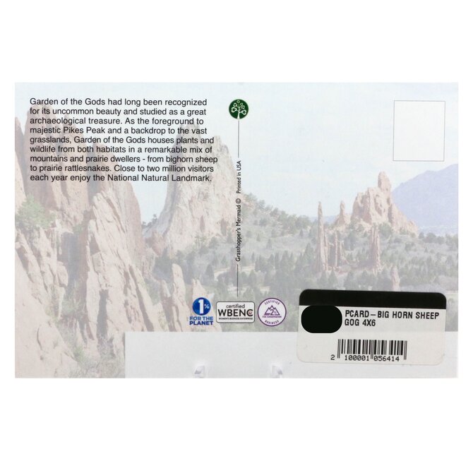 GRASSHOPPERS MERMAID PCARD-BIG HORN SHEEP GOG 4X6