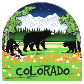 Monterey MAG-BEARS SPIN SKY CO