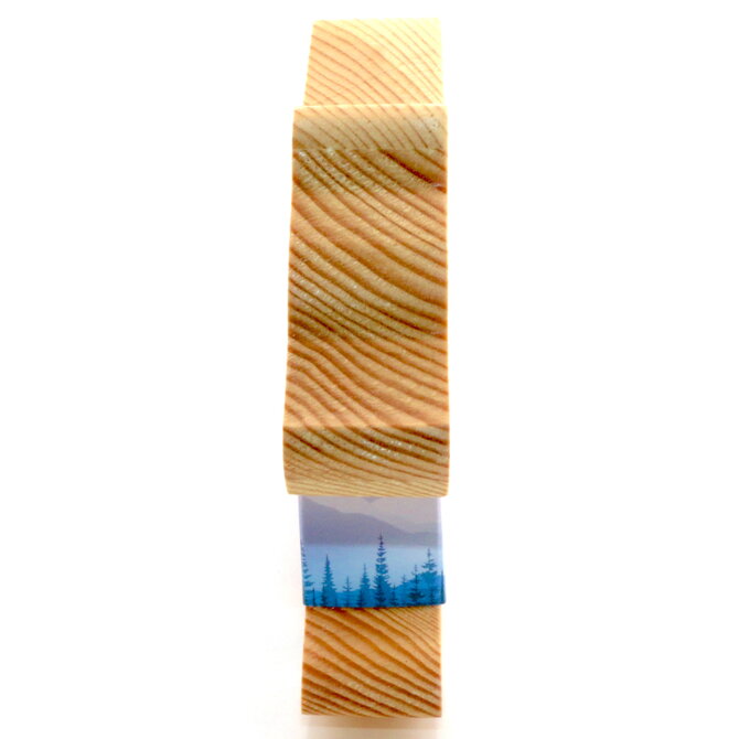 Monterey BANK-BEAR//MNTS/TREES/COFLAG WD