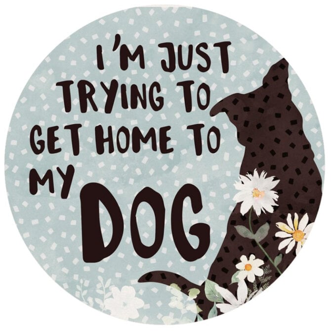 Carson Inc CAR CSTR-HOME TO MY DOG