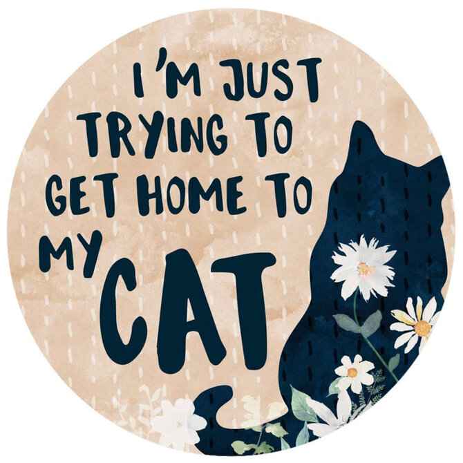 Carson Inc CAR CSTR-HOME TO MY CAT
