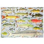 1 CANOE 2 PZL-FRESHWATER FISH 1000/PC