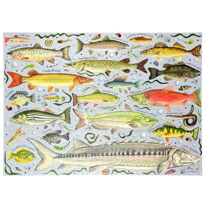 1 CANOE 2 PZL-FRESHWATER FISH 1000/PC