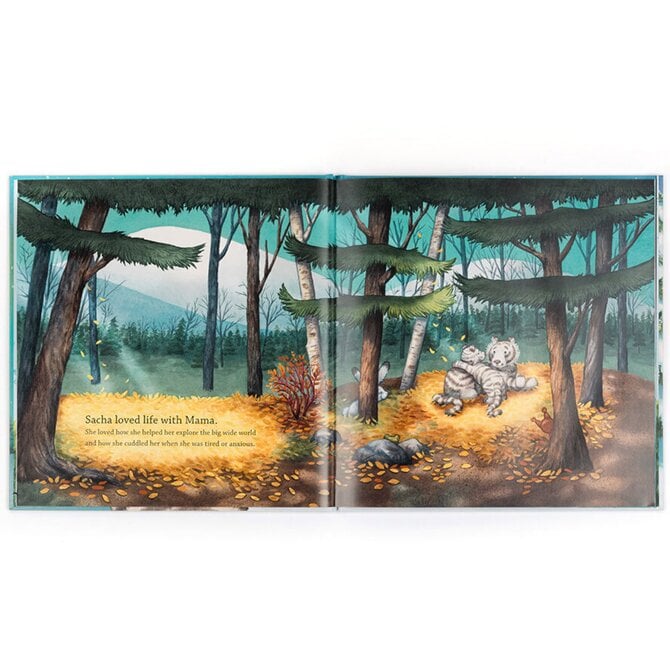 Jelly Cat Inc BOOK-SACHA & THE MOST WONDERFUL THING