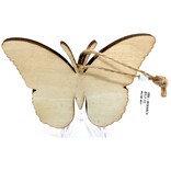 WILUSZ WAY ORN-MONARCH BFLY CO