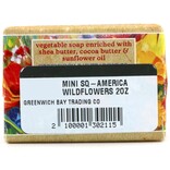GREENWICH BAY TRADING CO MINI SQ-AMERICA WILDFLOWERS 2OZ