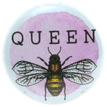 BUTTON PIN FUN PIN-RND QUEEN BEE