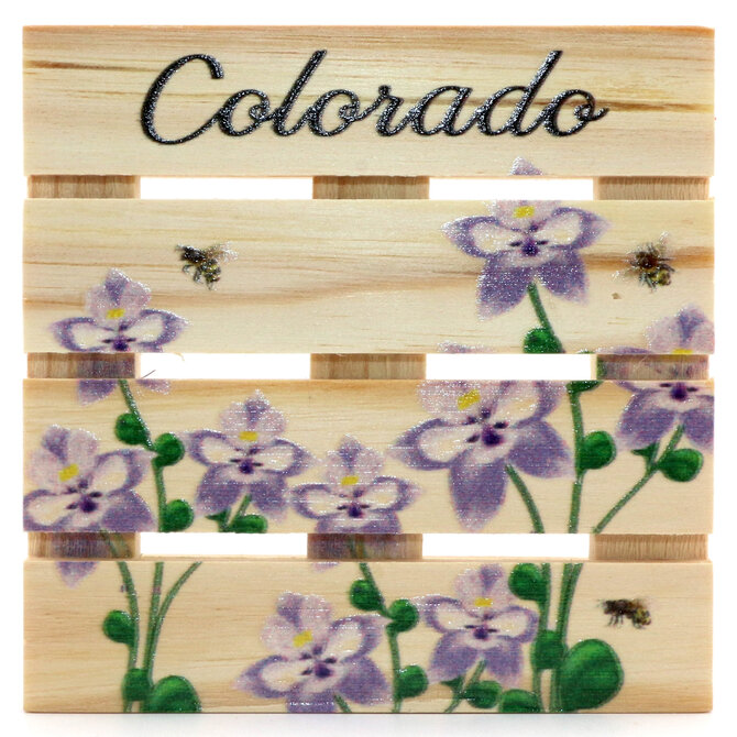 Home Magnetics CSTR-COLUMBINES CO