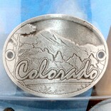 Sanborn Souvenir Co. Inc. WLK STK MEDALLION-CO