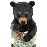 Sanborn Souvenir Co. Inc. SNWGLB-BEAR W/ BELLY CO
