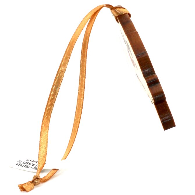 HOLLY SAGE ART ORN-FEATHER MNT SUNSET CO