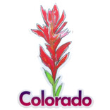 HOLLY SAGE ART STKR-INDIAN PAINTBRUSH SOLO CO