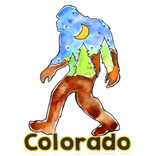 HOLLY SAGE ART STKR-FOREST SASQUATCH CO
