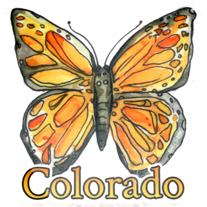 HOLLY SAGE ART STKR-BUTTERFLY ORANGE CO