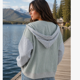 AEMI + CO Hood-Striped Zip