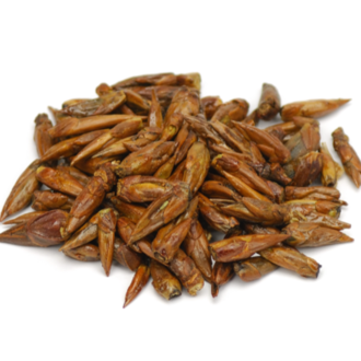 Herbies Balm of Gilead