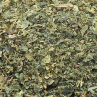 Luna Ignis Belladonna leaf and stem