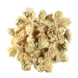 Herbies Chamomile (Roman) Herbies Chamomile (Roman)