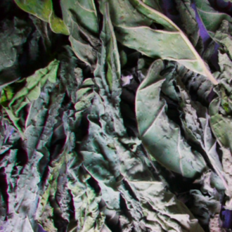 Luna Ignis Devil's Weed (Datura/Jimson Weed)