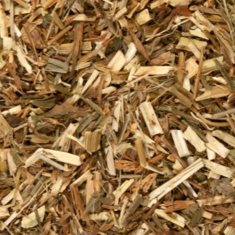 Monterey Bay Herb Co Goat's Rue Monterey Bay Herb Co Goat's Rue